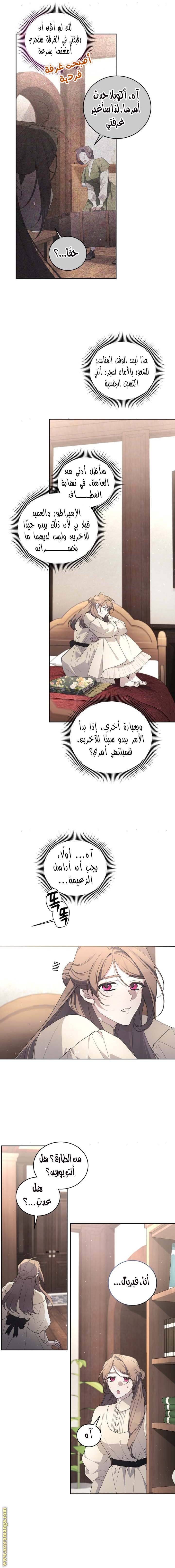 الصفحة 11