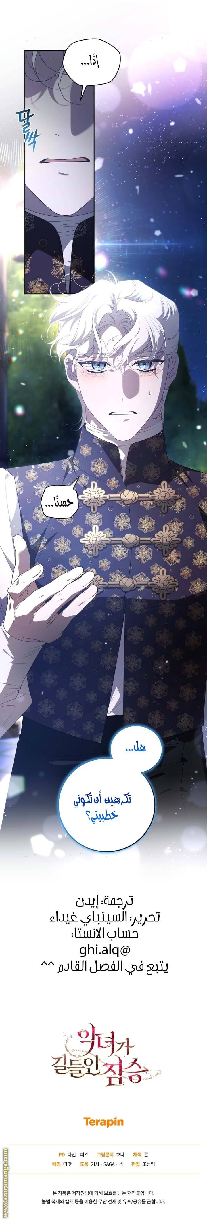 الصفحة 19