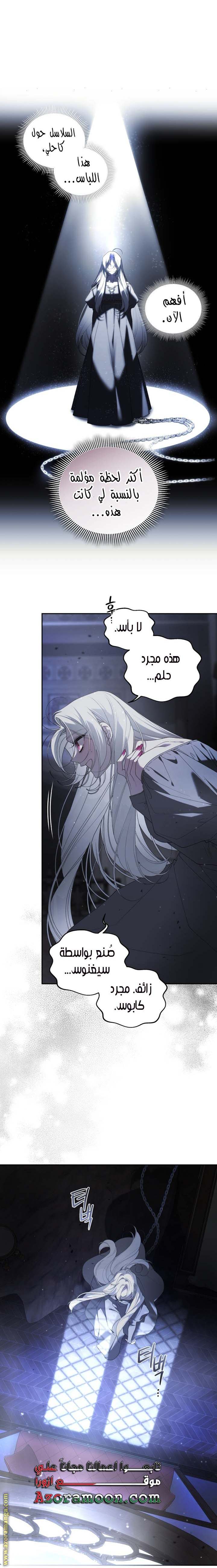 الصفحة 21