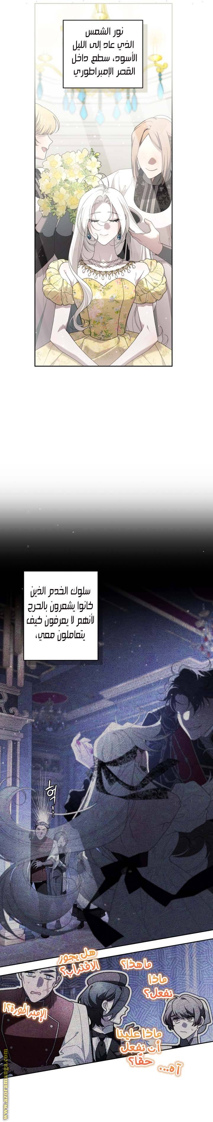 الصفحة 14