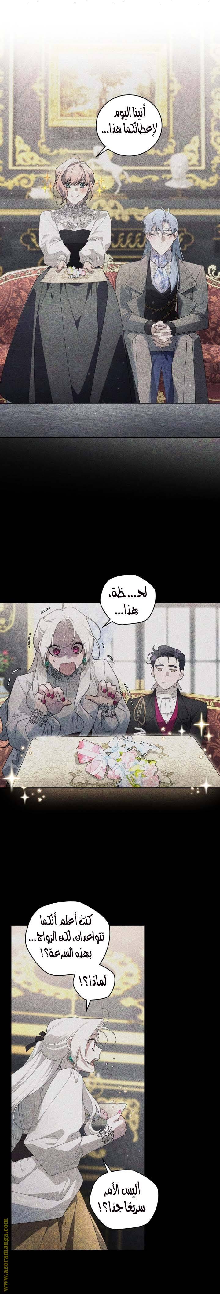 الصفحة 18