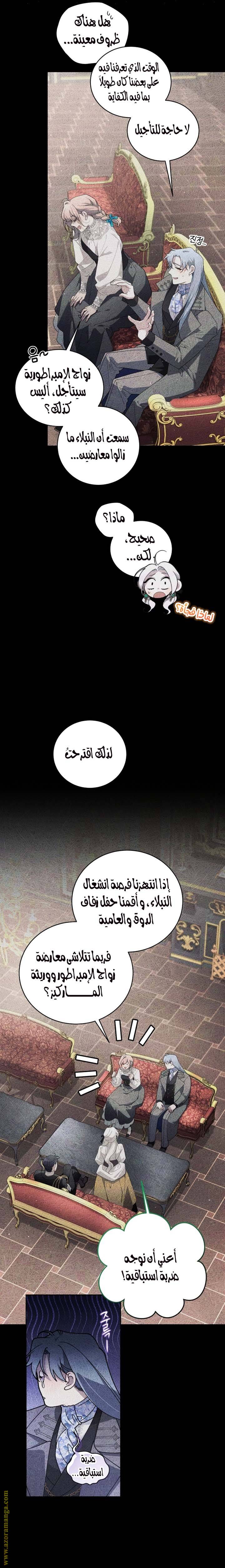 الصفحة 19