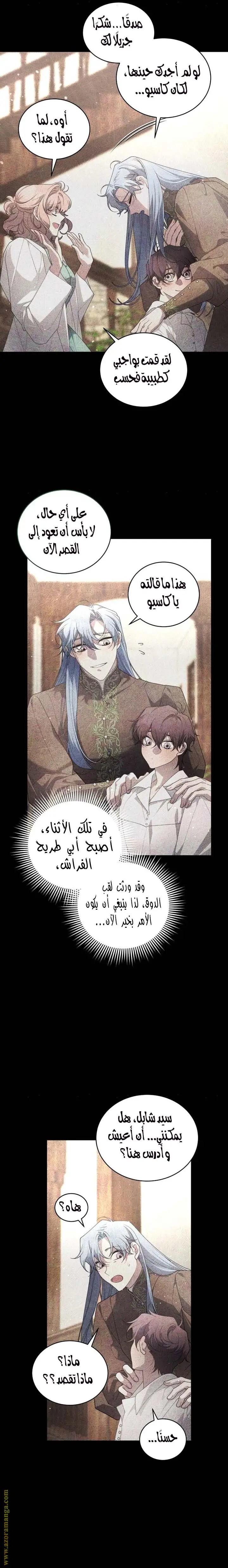 الصفحة 17