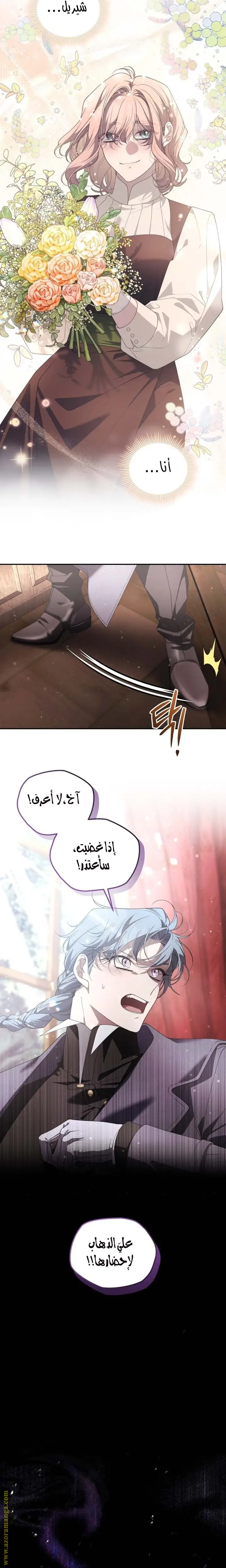 الصفحة 26
