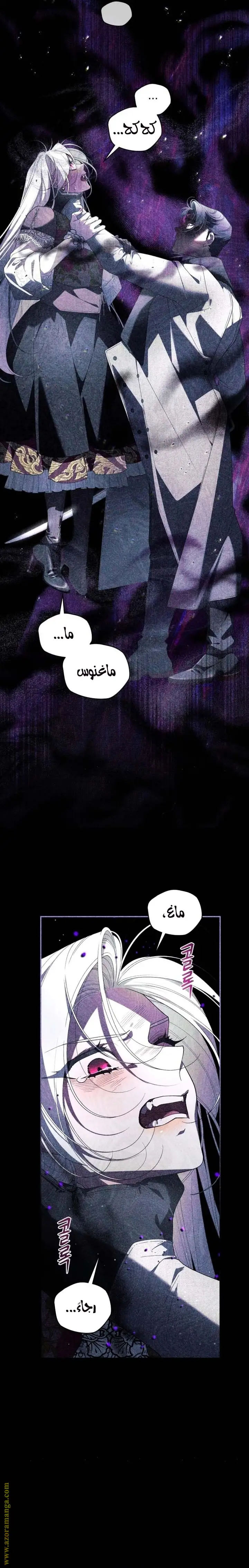 الصفحة 27