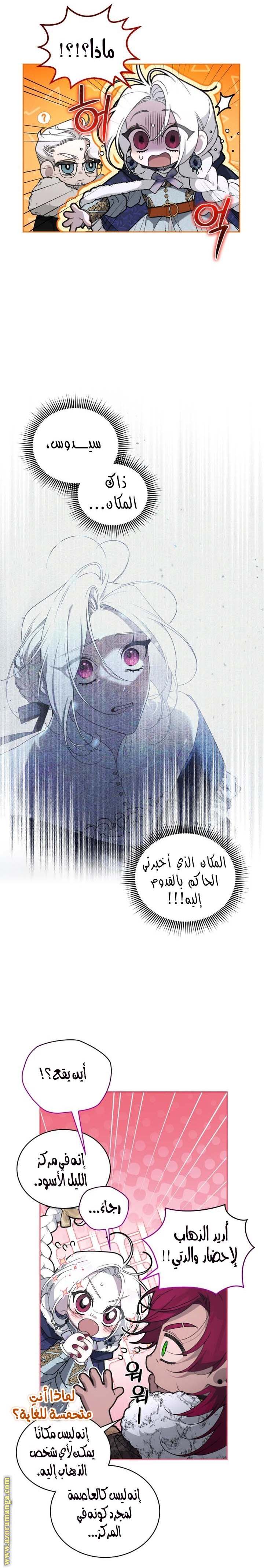 الصفحة 26
