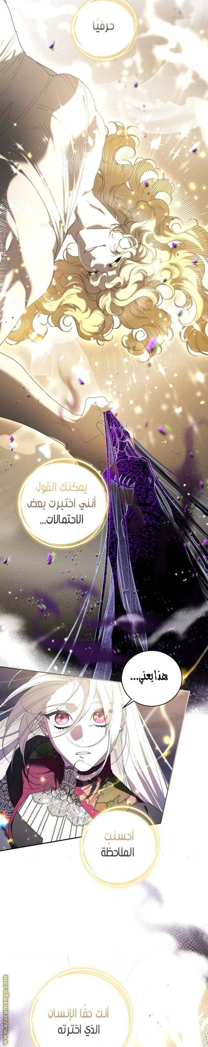 الصفحة 17