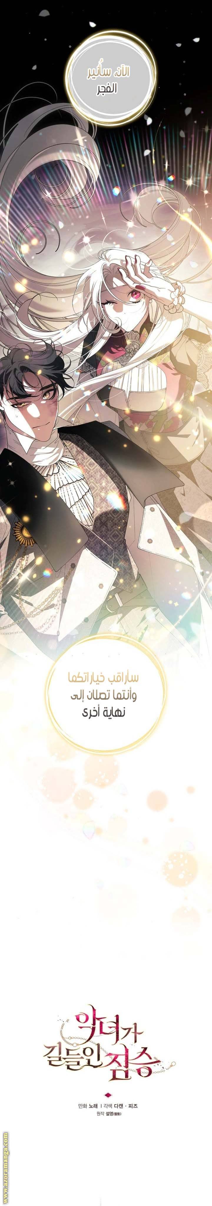 الصفحة 19