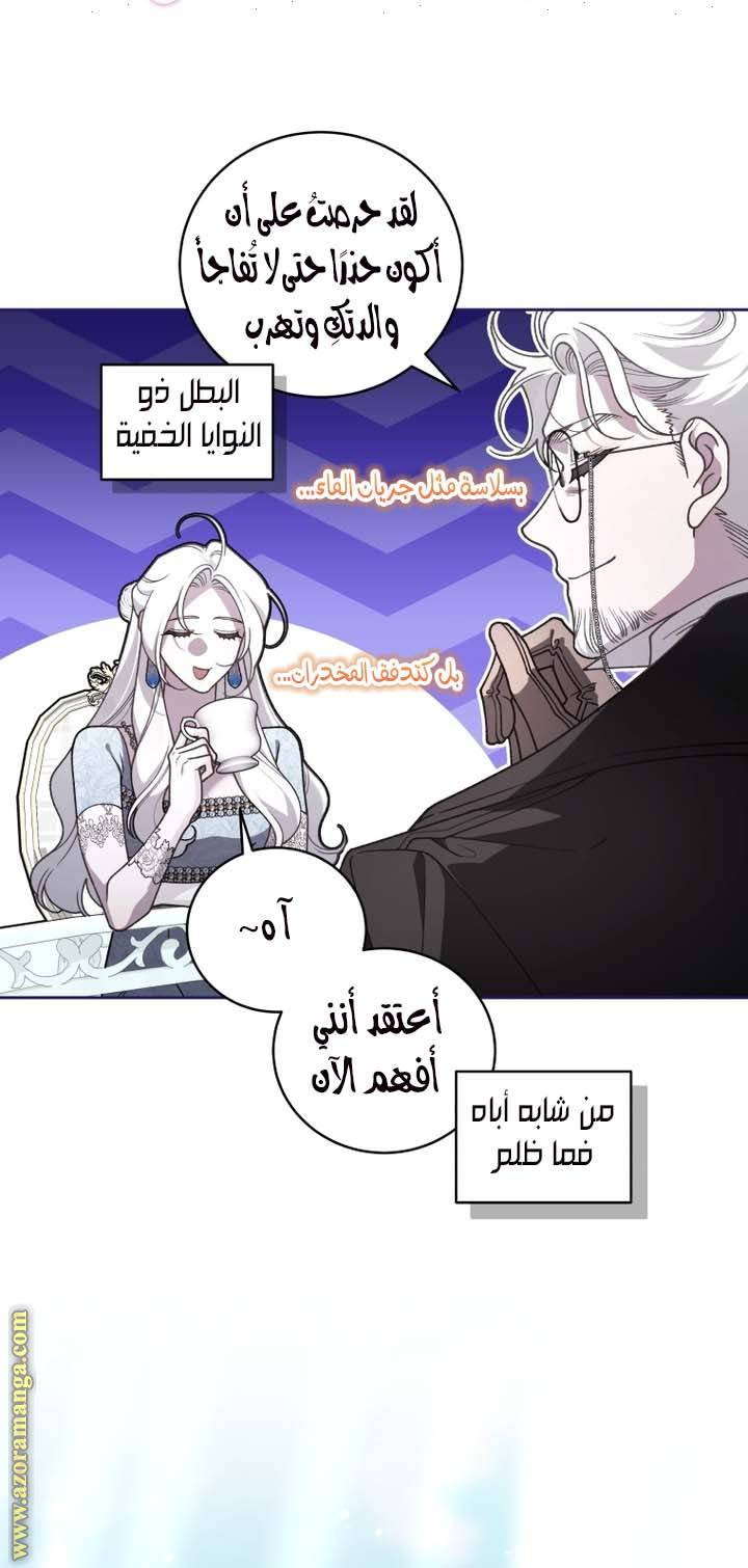 الصفحة 27