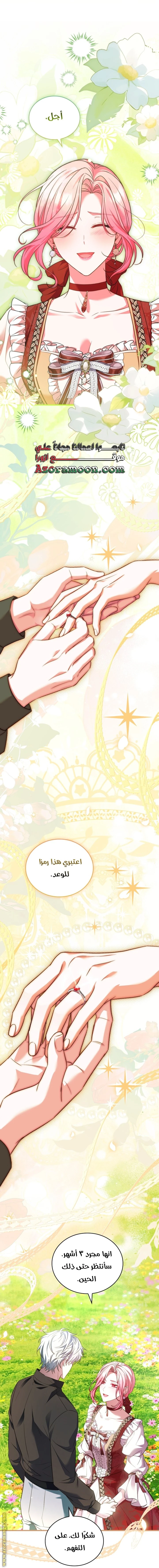الصفحة 20