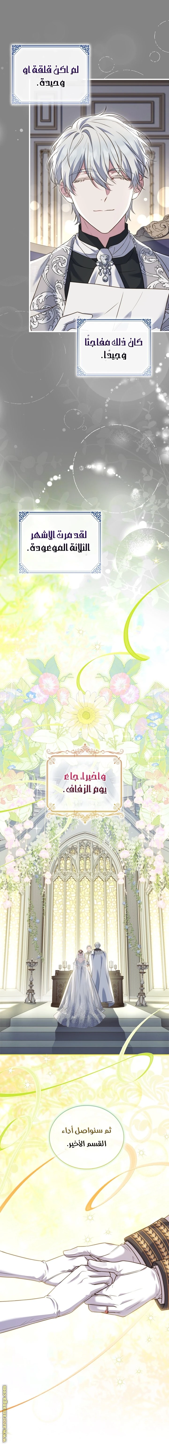 الصفحة 31