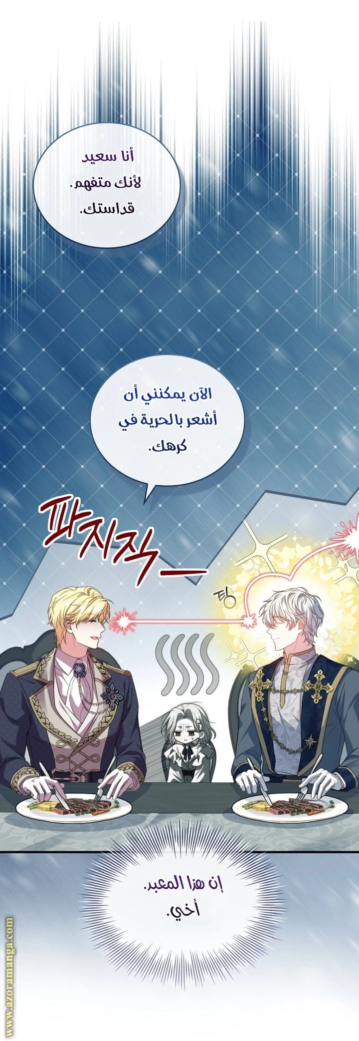 الصفحة 29