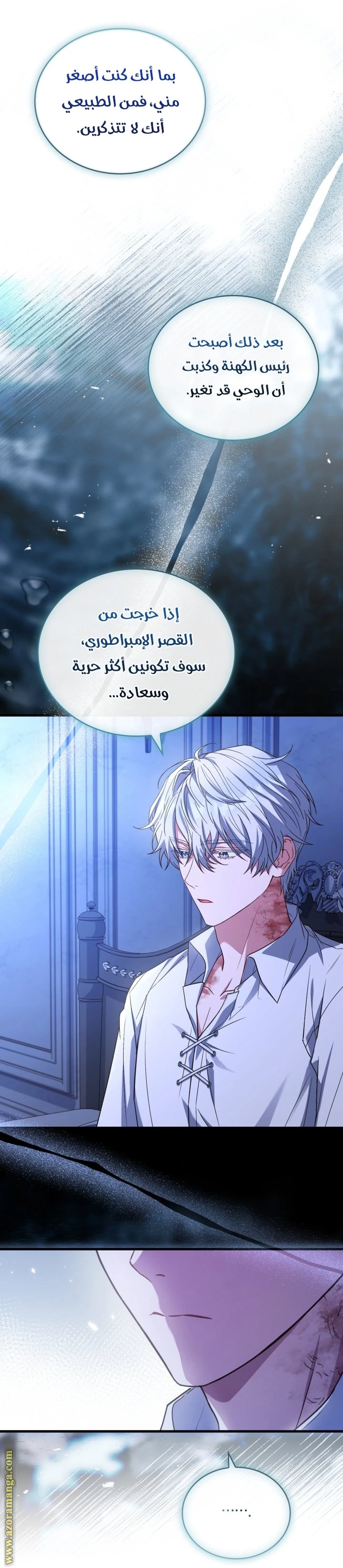 الصفحة 17