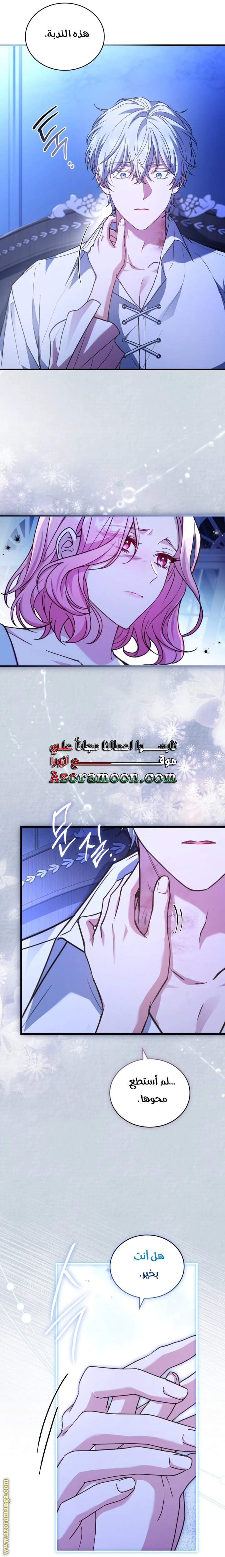 الصفحة 26