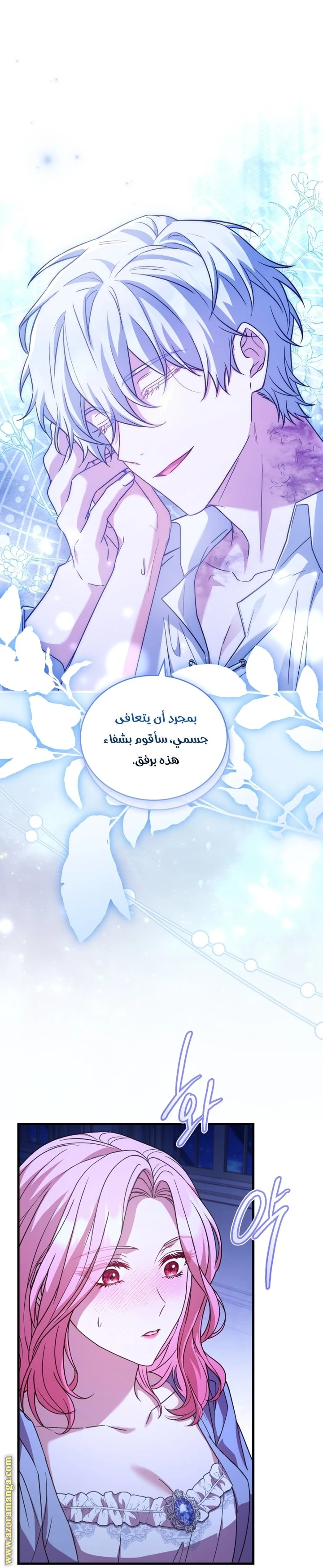 الصفحة 27