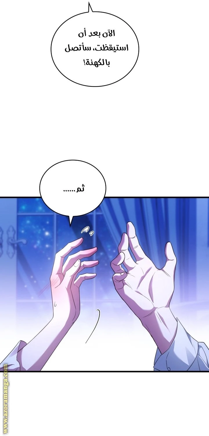 الصفحة 29