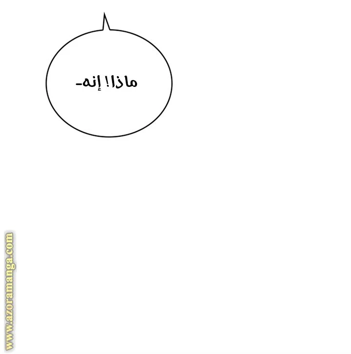 الصفحة 43