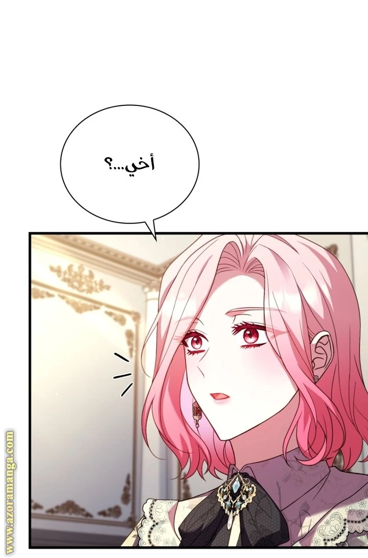 الصفحة 25