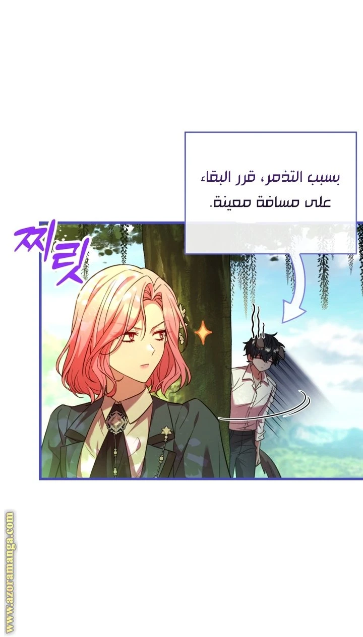 الصفحة 31