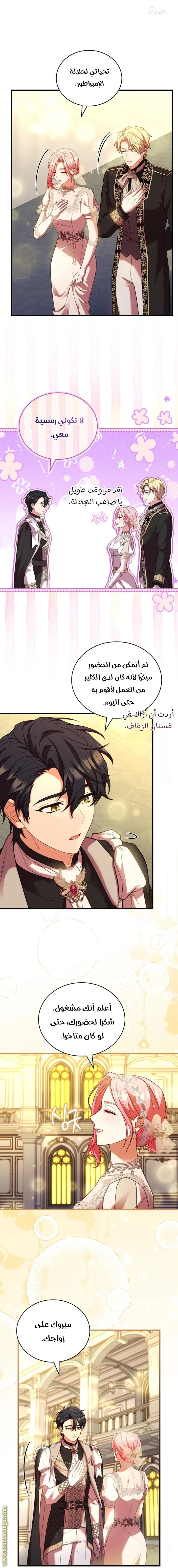 الصفحة 8