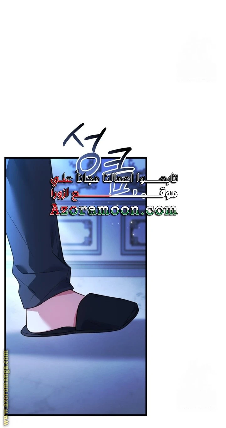 الصفحة 27