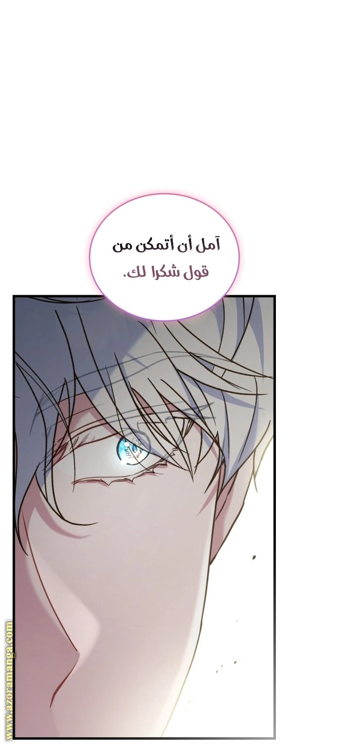 الصفحة 20