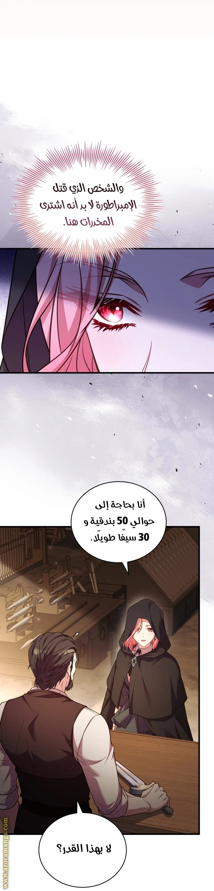 الصفحة 17