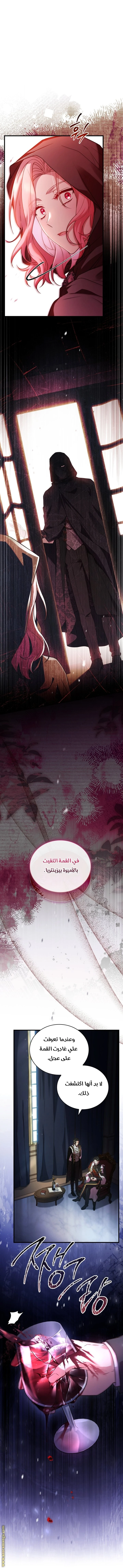 الصفحة 28