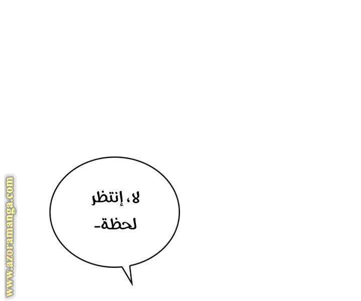 الصفحة 40