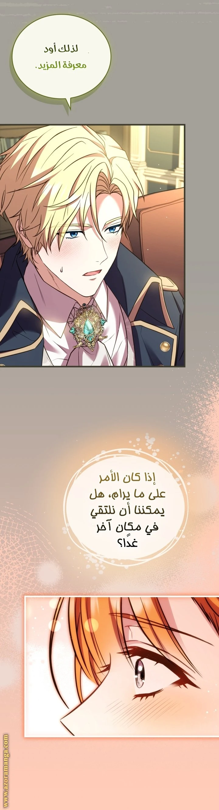 الصفحة 29