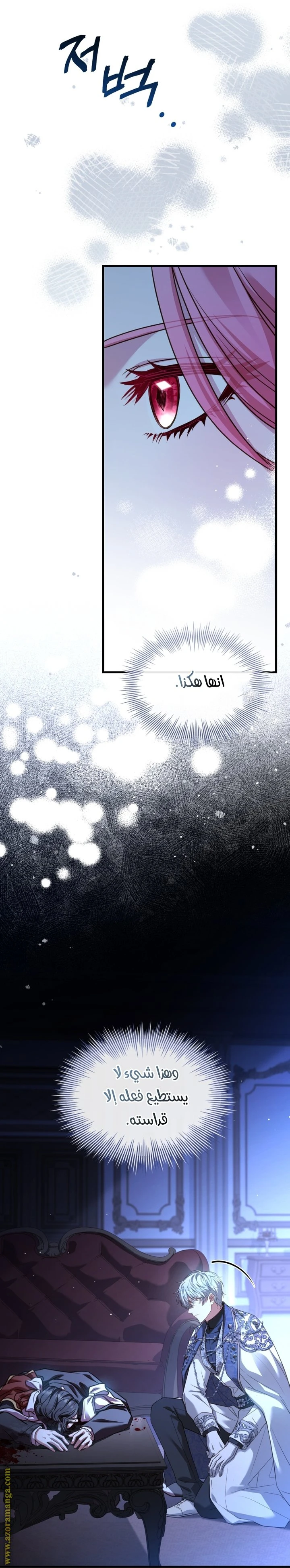 الصفحة 17