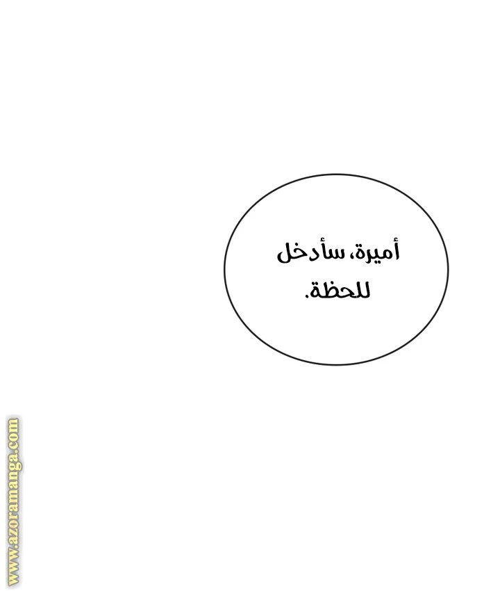 الصفحة 31