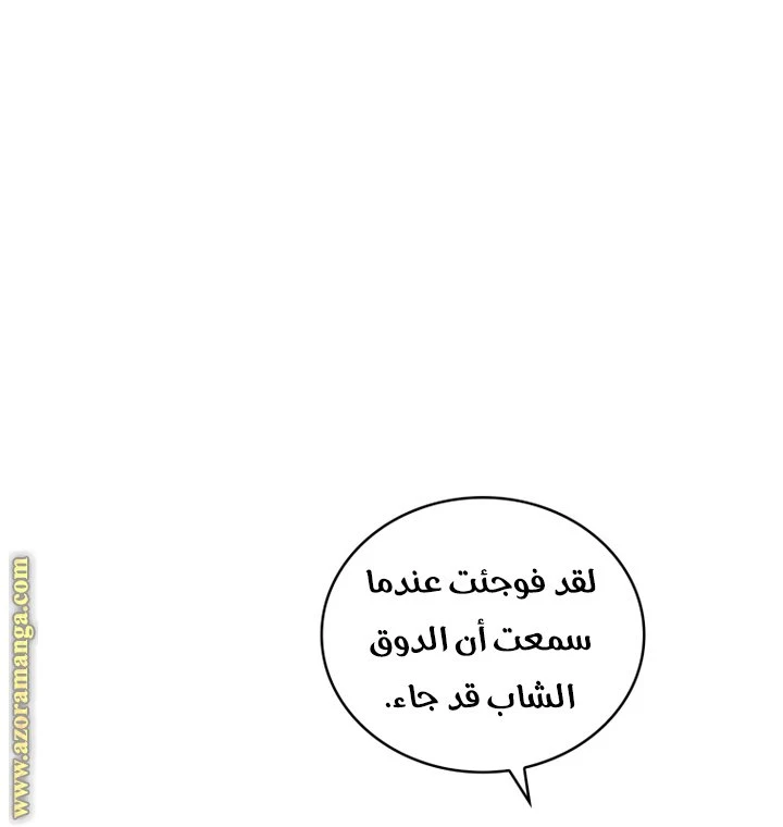 الصفحة 26