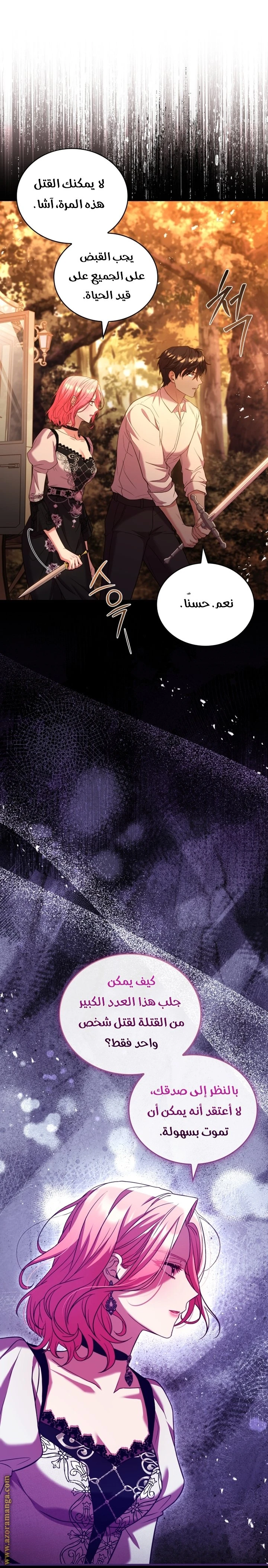 الصفحة 27