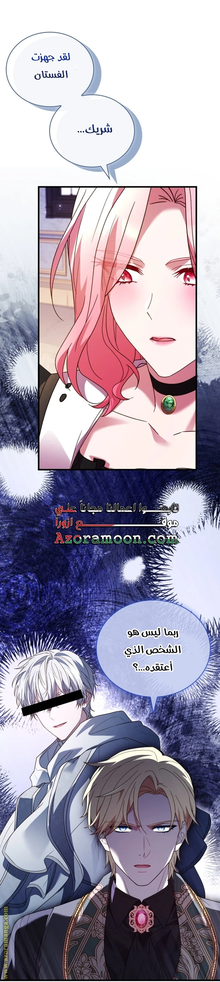الصفحة 17