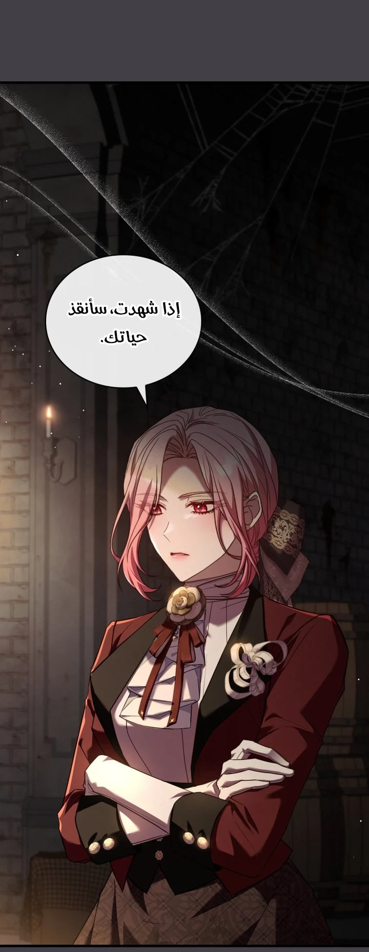الصفحة 27