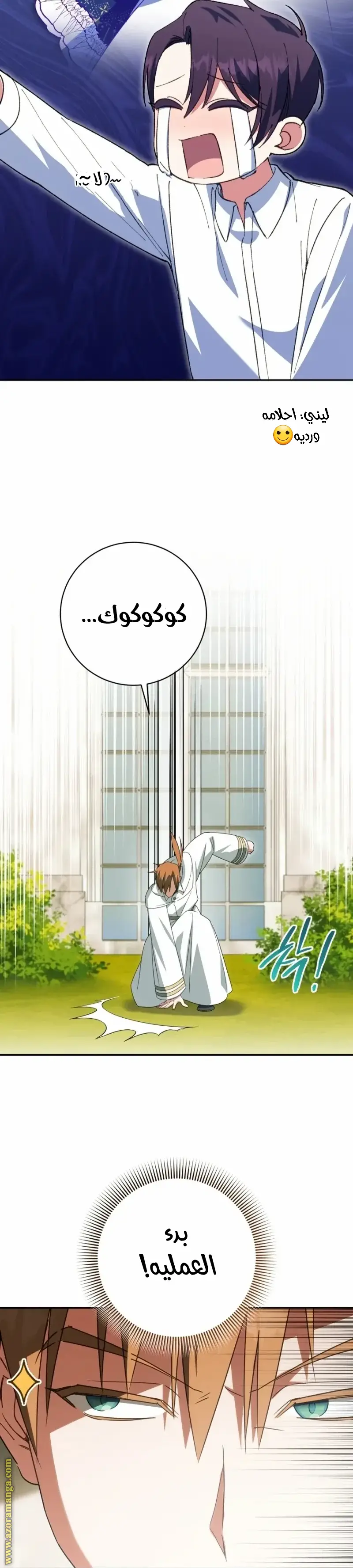 الصفحة 12