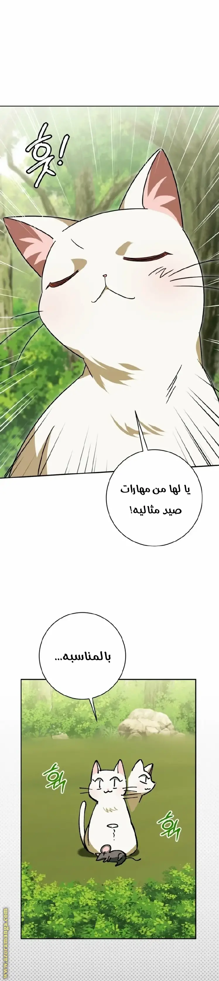 الصفحة 22