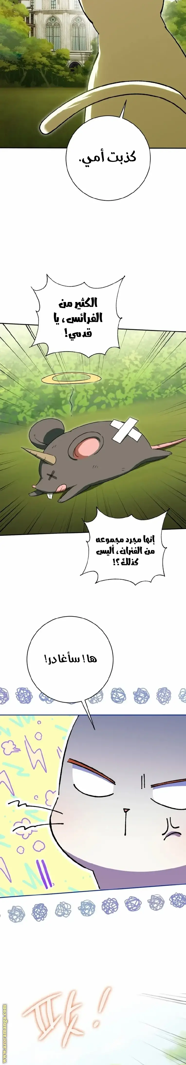 الصفحة 24