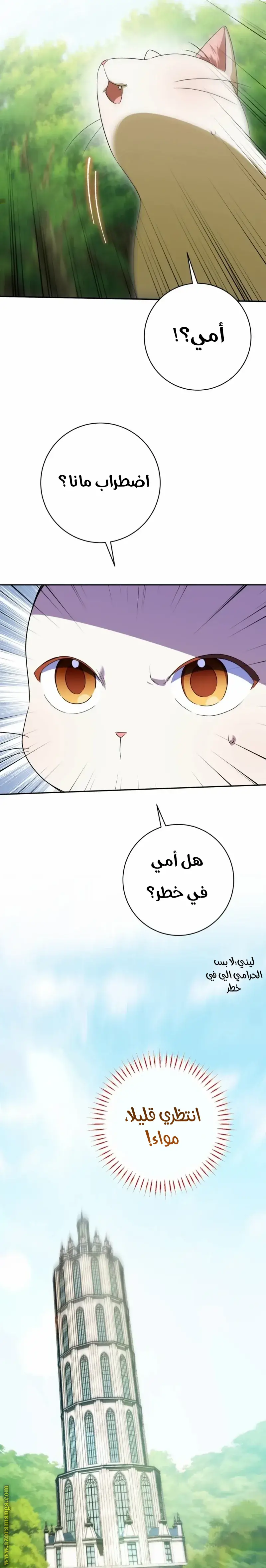 الصفحة 25