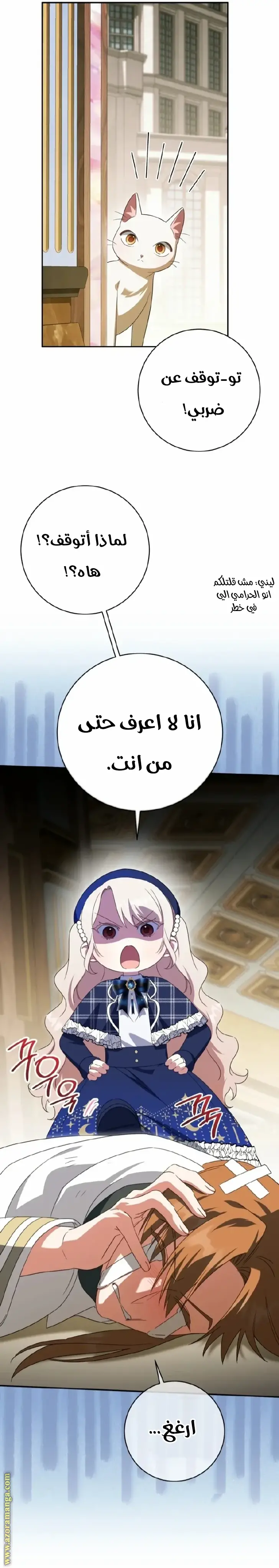 الصفحة 27