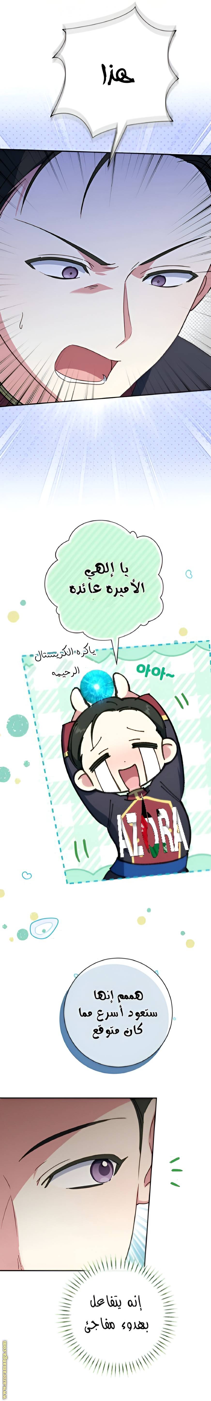 الصفحة 5