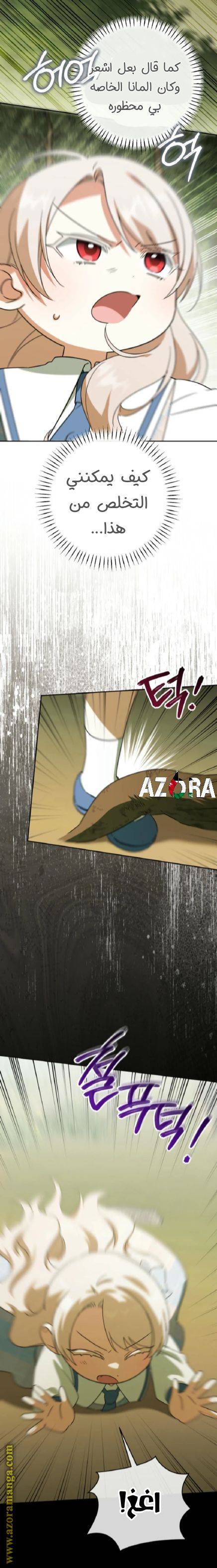 الصفحة 24