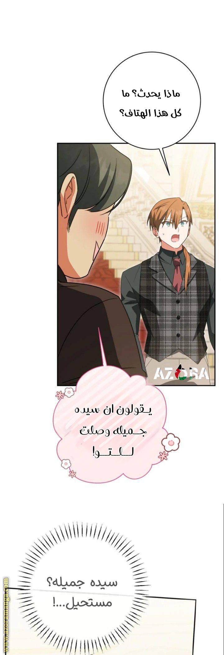 الصفحة 11