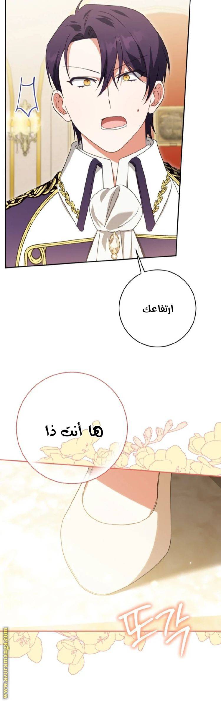 الصفحة 12