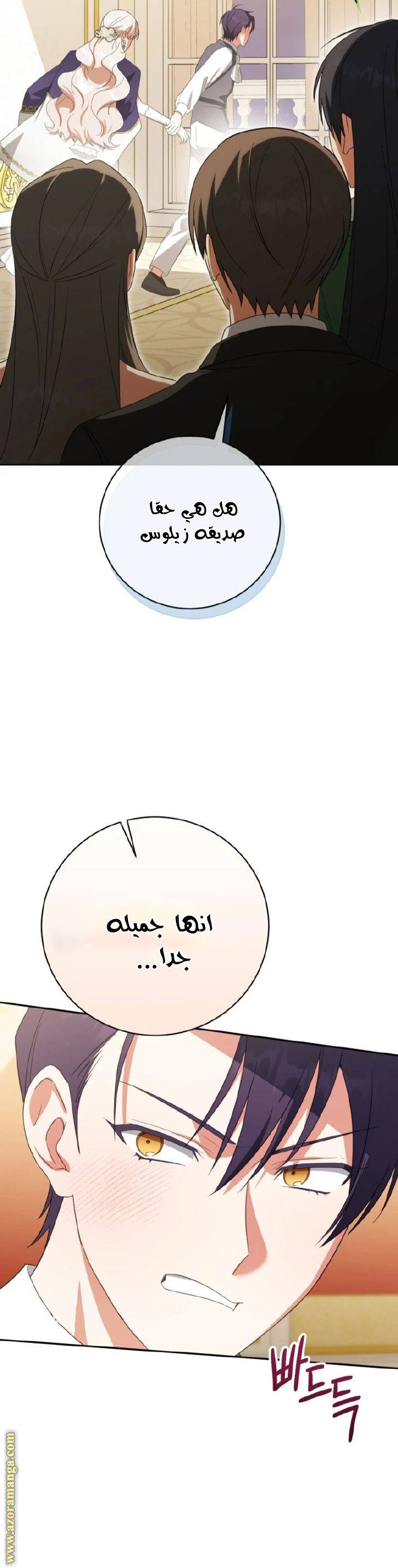 الصفحة 20