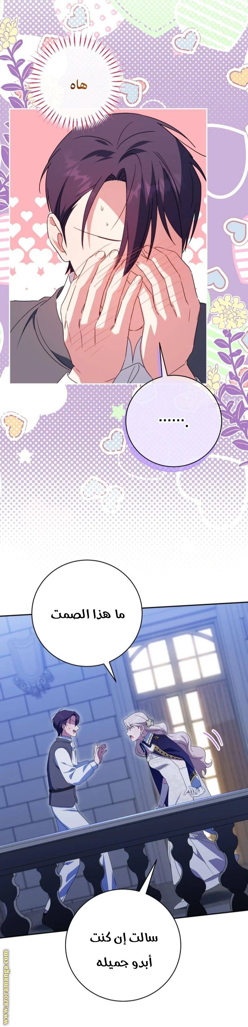 الصفحة 27