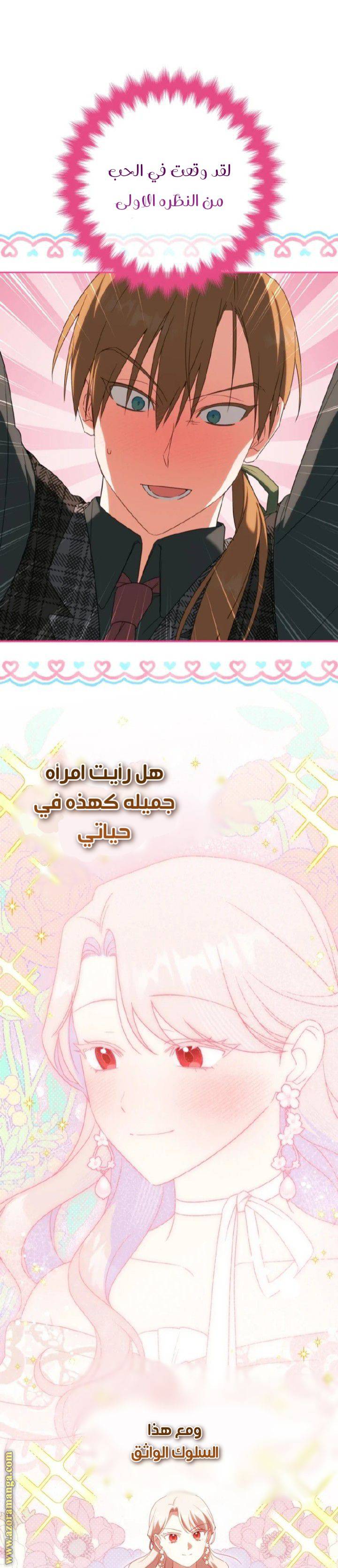 الصفحة 35