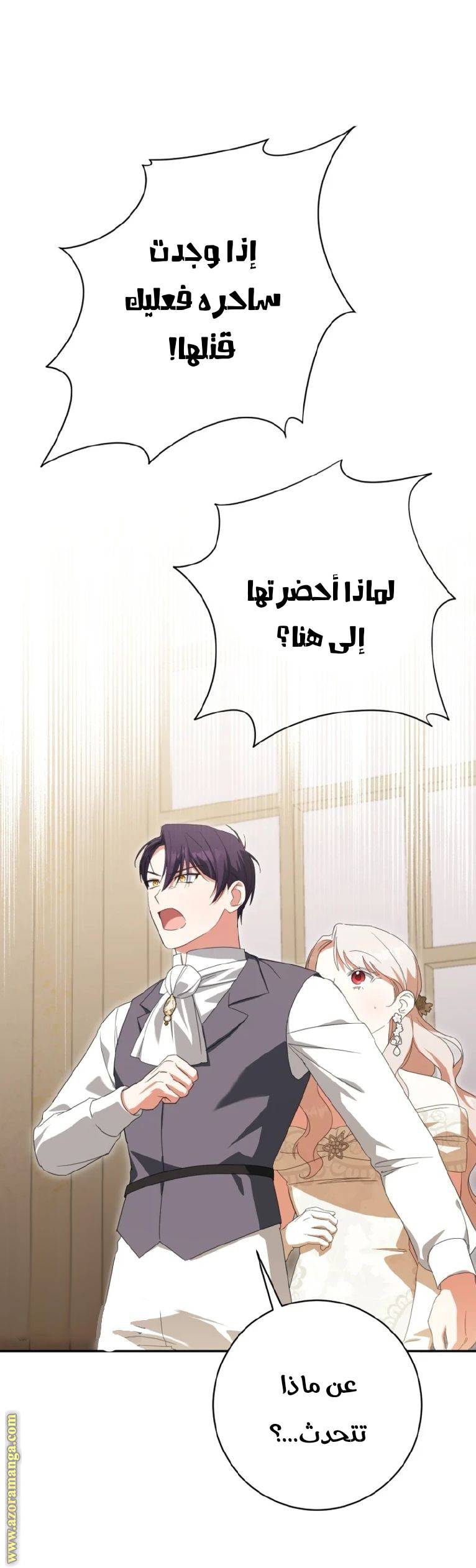 الصفحة 46