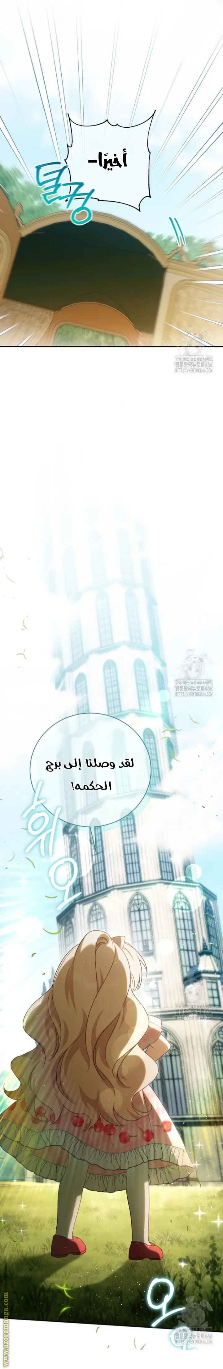 الصفحة 17